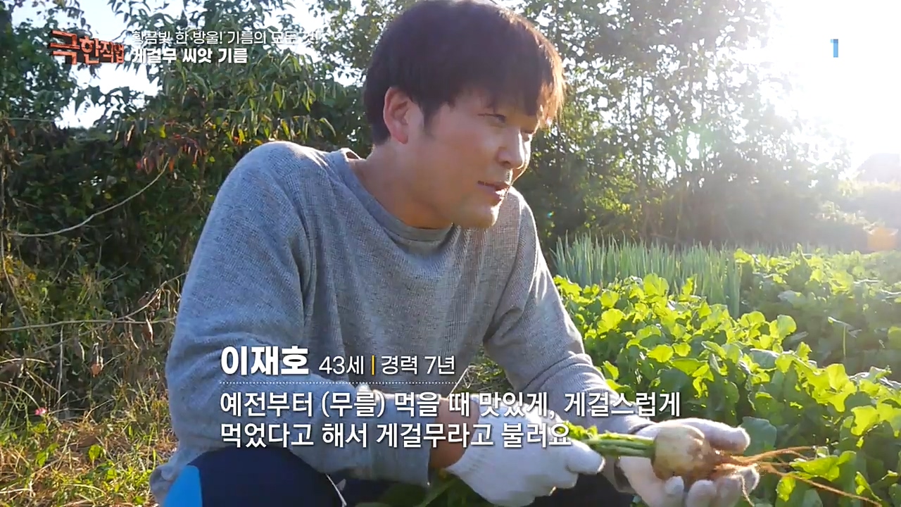 TV - 교육의 중심 EBS황금빛 한 방울! 기름의 모든 것!.mp4_20221031_191201.156.jpg