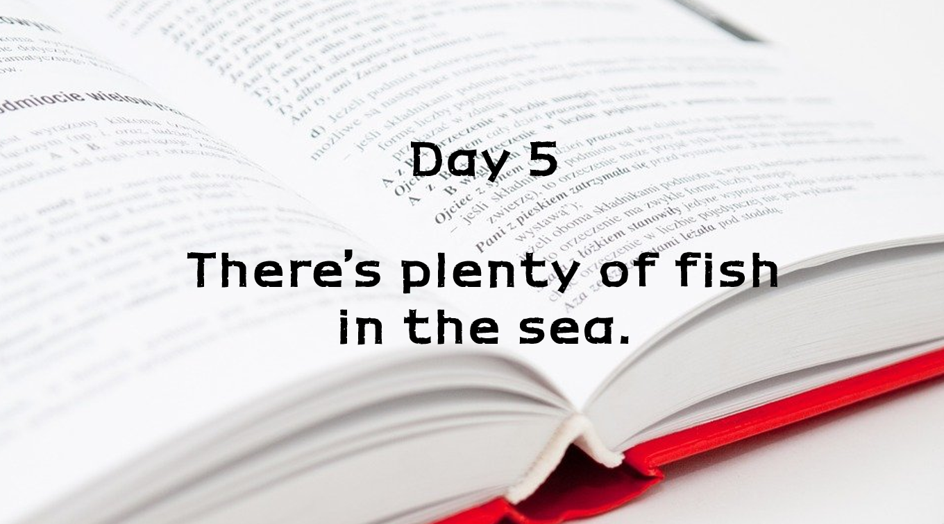  Day 5. There's plenty of fish in the sea.