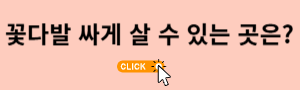 꽃다발 싸게 살 수 있는곳