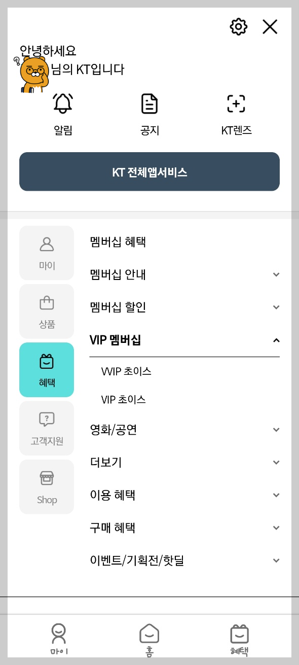 KT 포인트