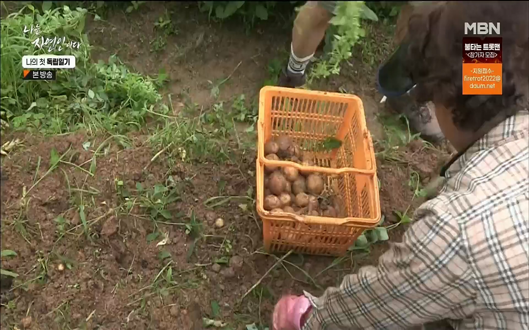 나는 자연인이다.E511.220720p.H264-F1RST.mp4_20220721_201118.524.jpg