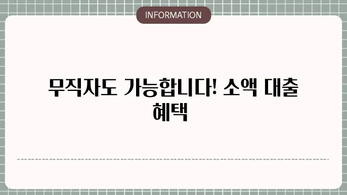 소액대출 활용에 대한 설명