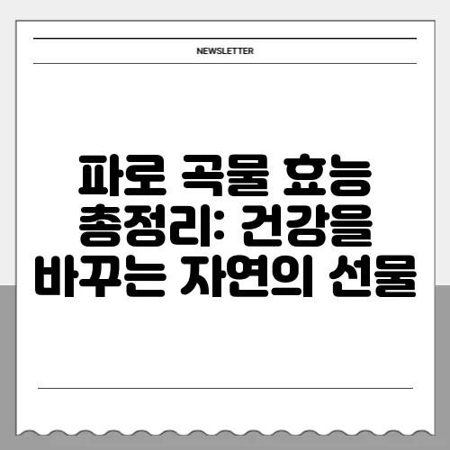 파로 곡물 효능 총정리: 건강을 바꾸는 자연의 선물