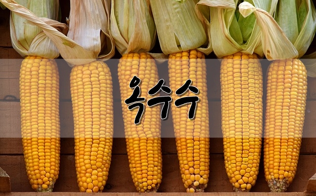 옥수수의 영양, 효능, 고르는 방법 등