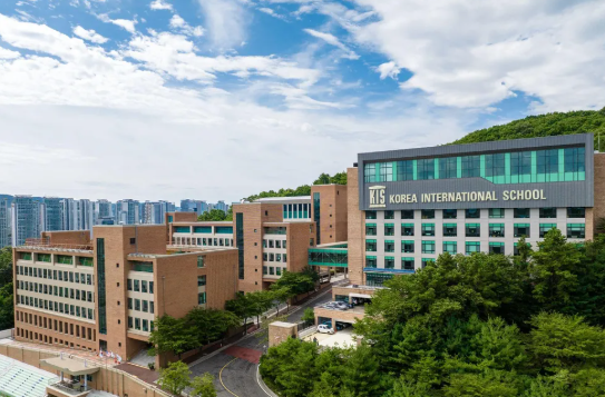 국제학교 vs 외국인학교 차이점: 입학 조건, 학비, 커리큘럼 총정리