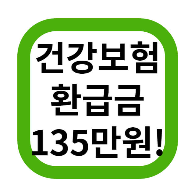  쉽고 간단하게 건강보험 환급금 135만원 받는법 핵심정리!