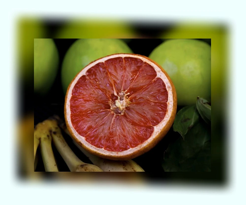 자몽 다이어트_1_subsection