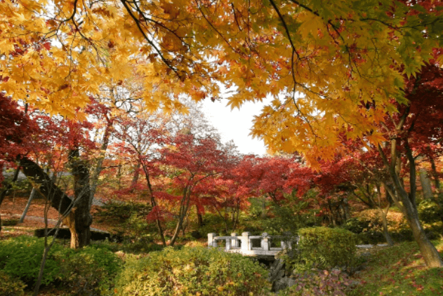 청와대-관람 