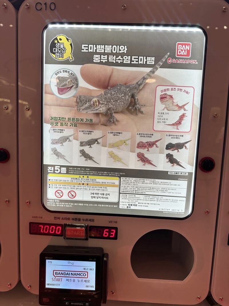 판20