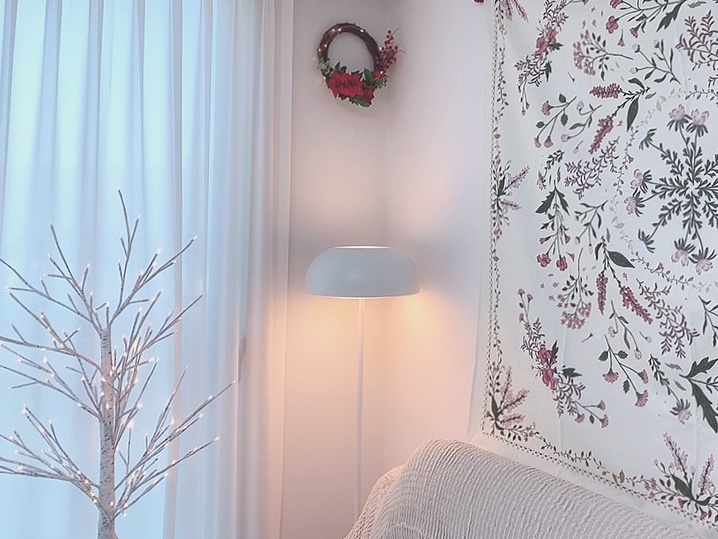 자작나무와 함께 화이트 크리스마스 준비 6