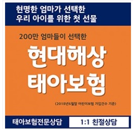 현대해상 태아보험