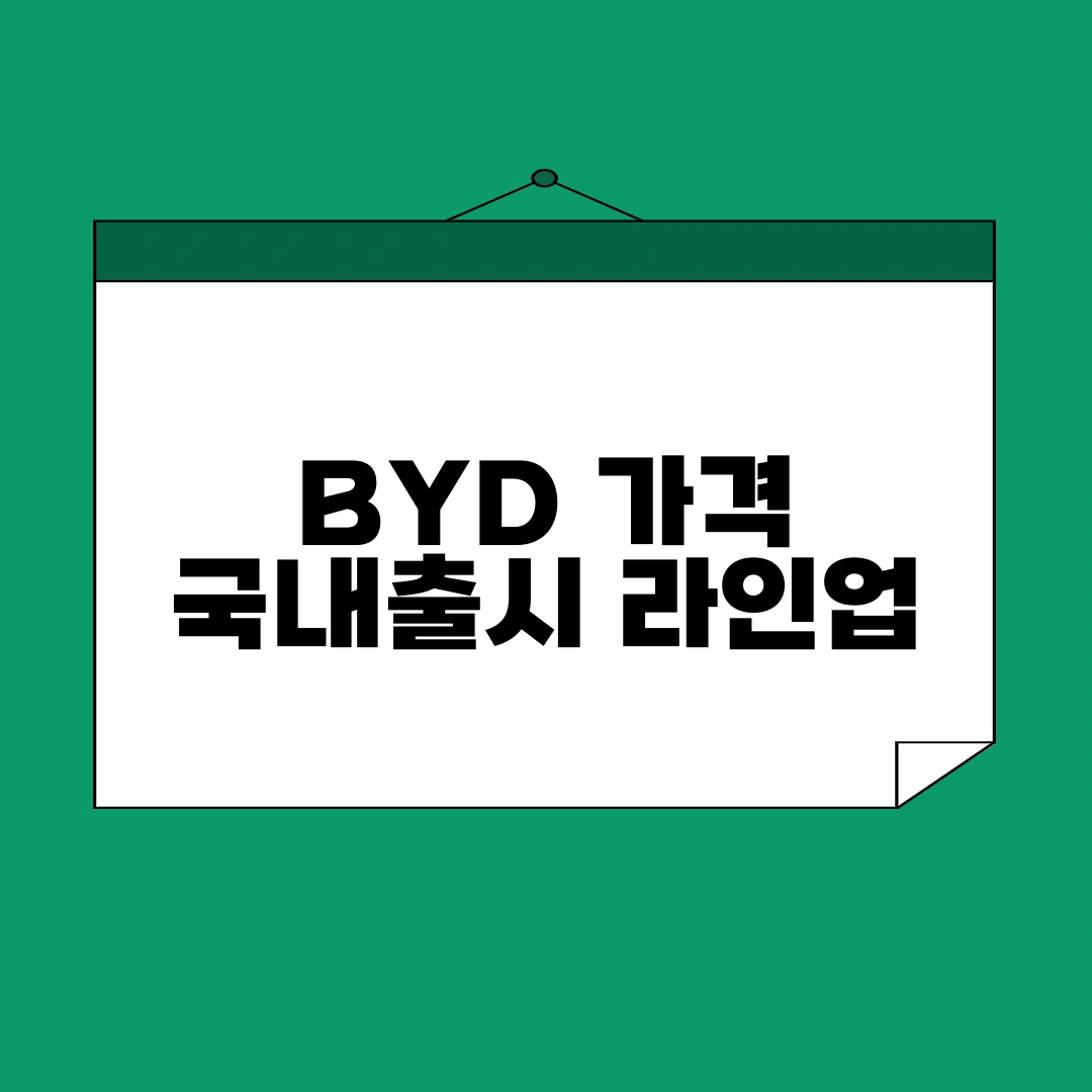 BYD 가격 국내출시 라인업