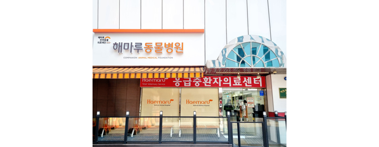 성남 분당구 동물병원