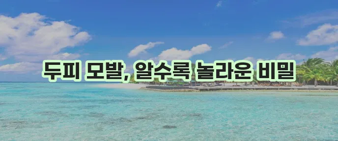 두피와 모발 건강, 놓치지 마세요!