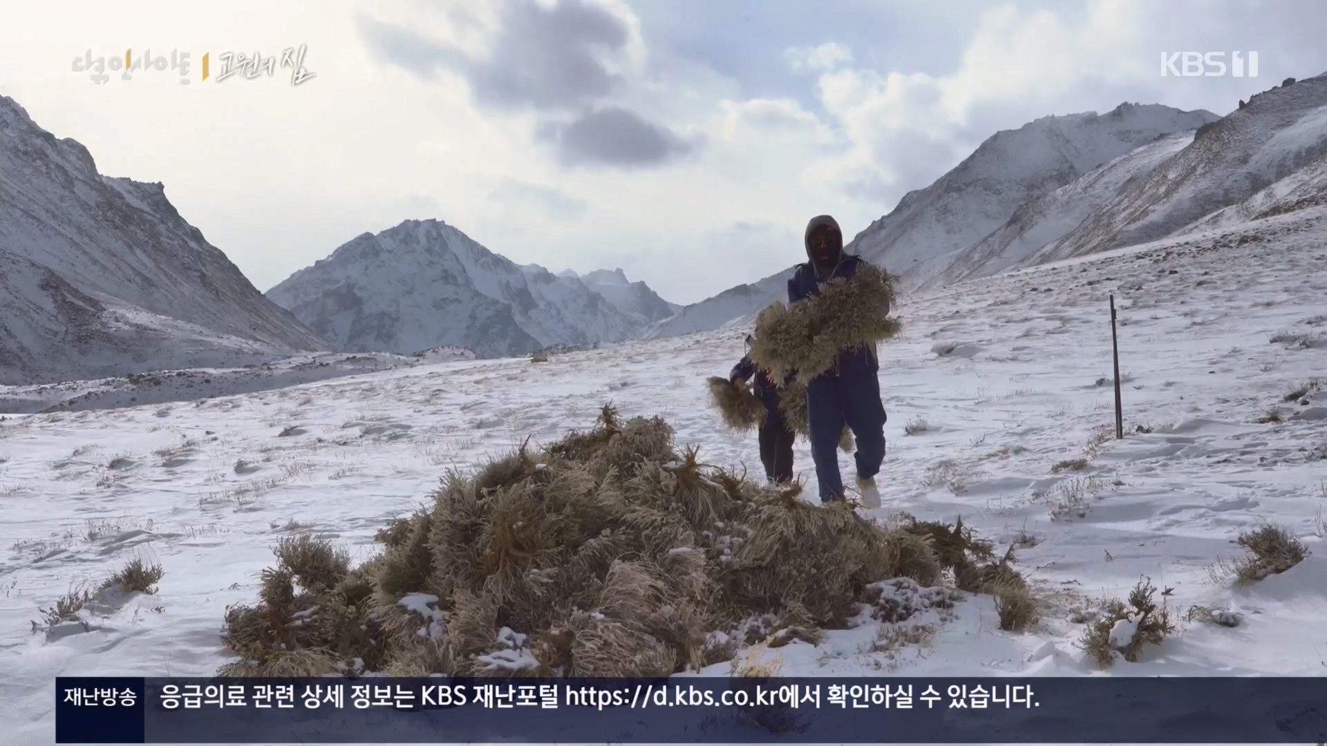 다큐 인사이트.E176.240328p.H264-F1RST.mp4_20240330_162356.885.jpg