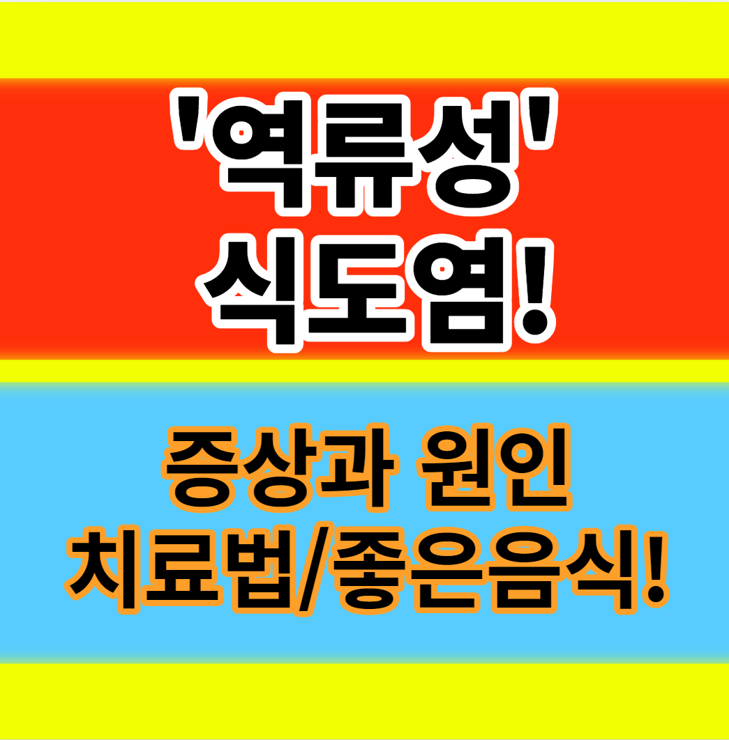  역류성식도염 증상 원인 및 좋은음식 가슴통증 치료방법