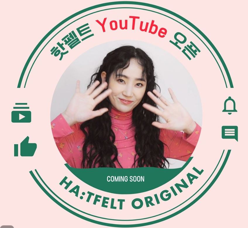  핫펠트 유튜브 오픈일