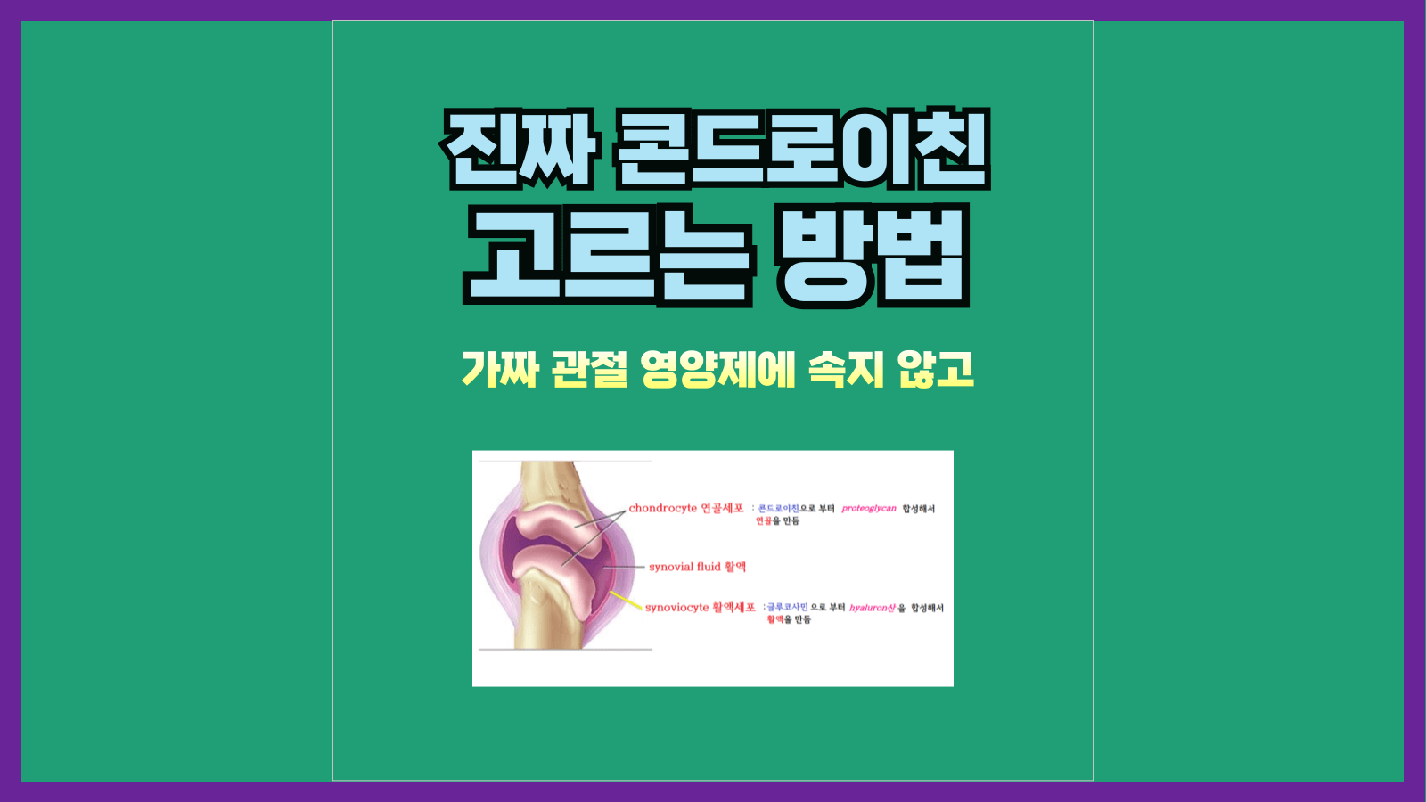 가짜 관절 영양제에 속지 않고 진짜 콘드로이친 고르는 방법