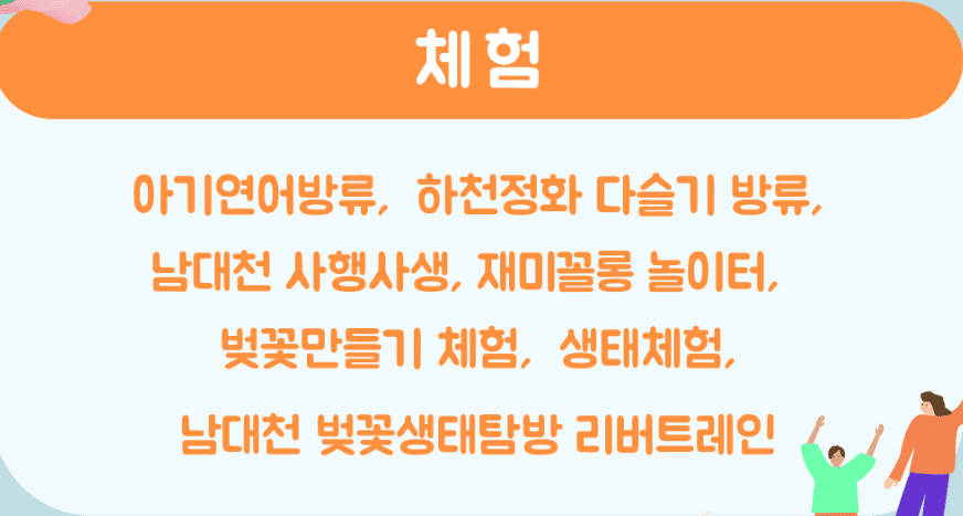 양양생생축제체험