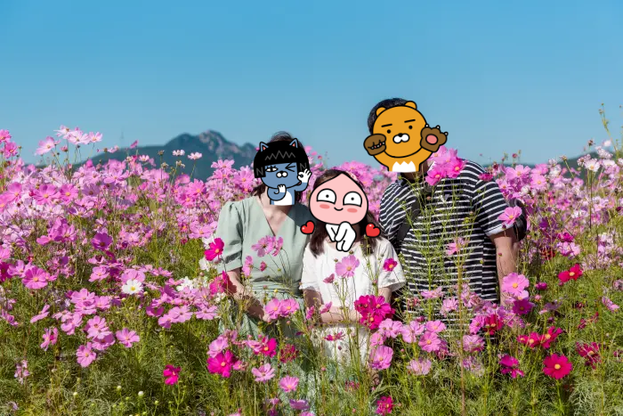 코스모스와 함께 가족사진을 찍고있는 모습