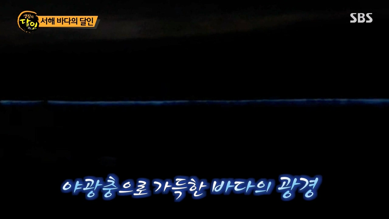 생활의 달인.E900.230808p-NEXT.mp4_20230808_202200.178.jpg