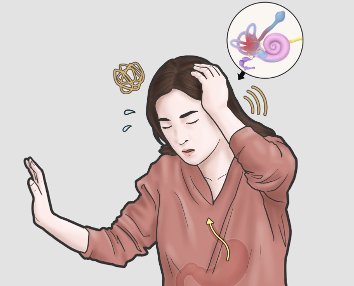 귀의 전정계 역할과 어지럼증