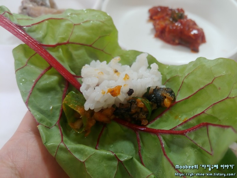  전북 정읍 맛집: 우렁이쌈밥 맛집 ‘국화회관’