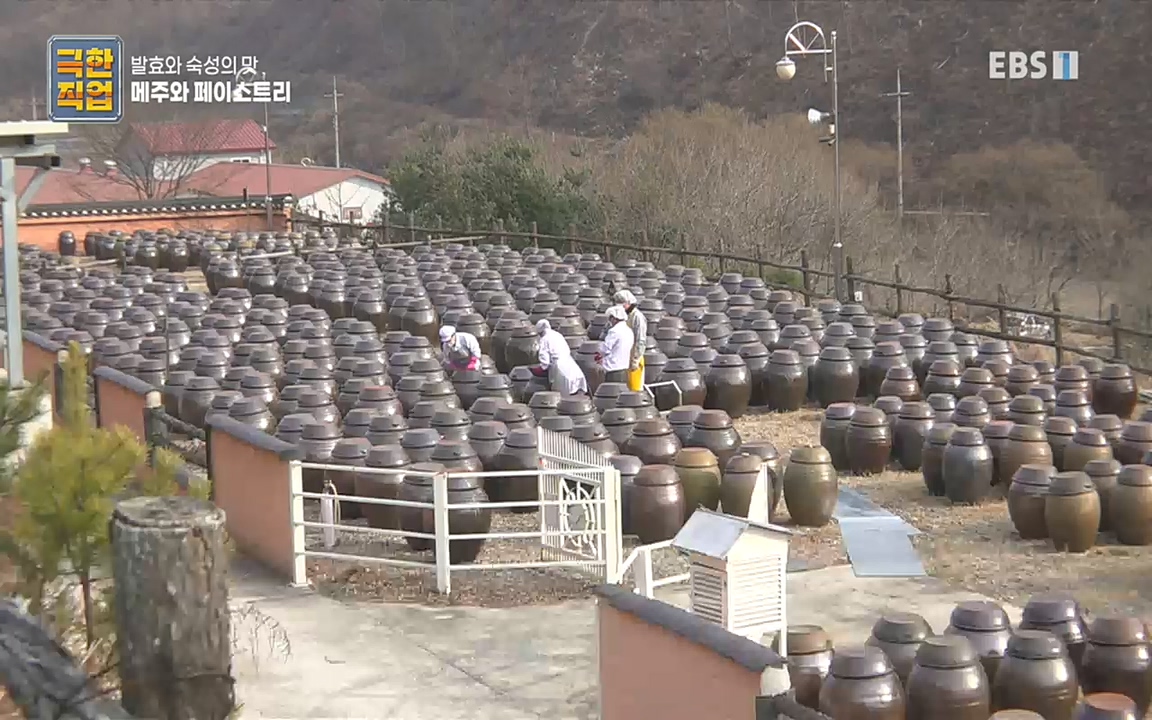TV - 교육의 중심 EBS발효와 숙성의 맛. 메주와 페이스트리.mp4_20220927_203755.351.jpg