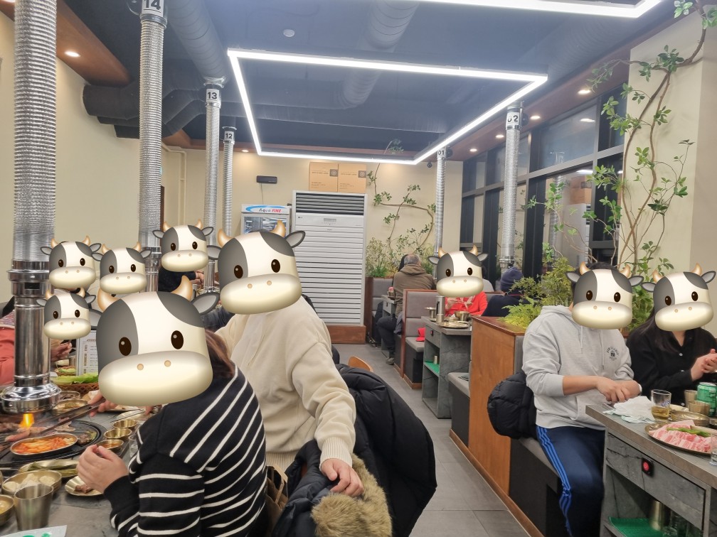 Yukogam 6