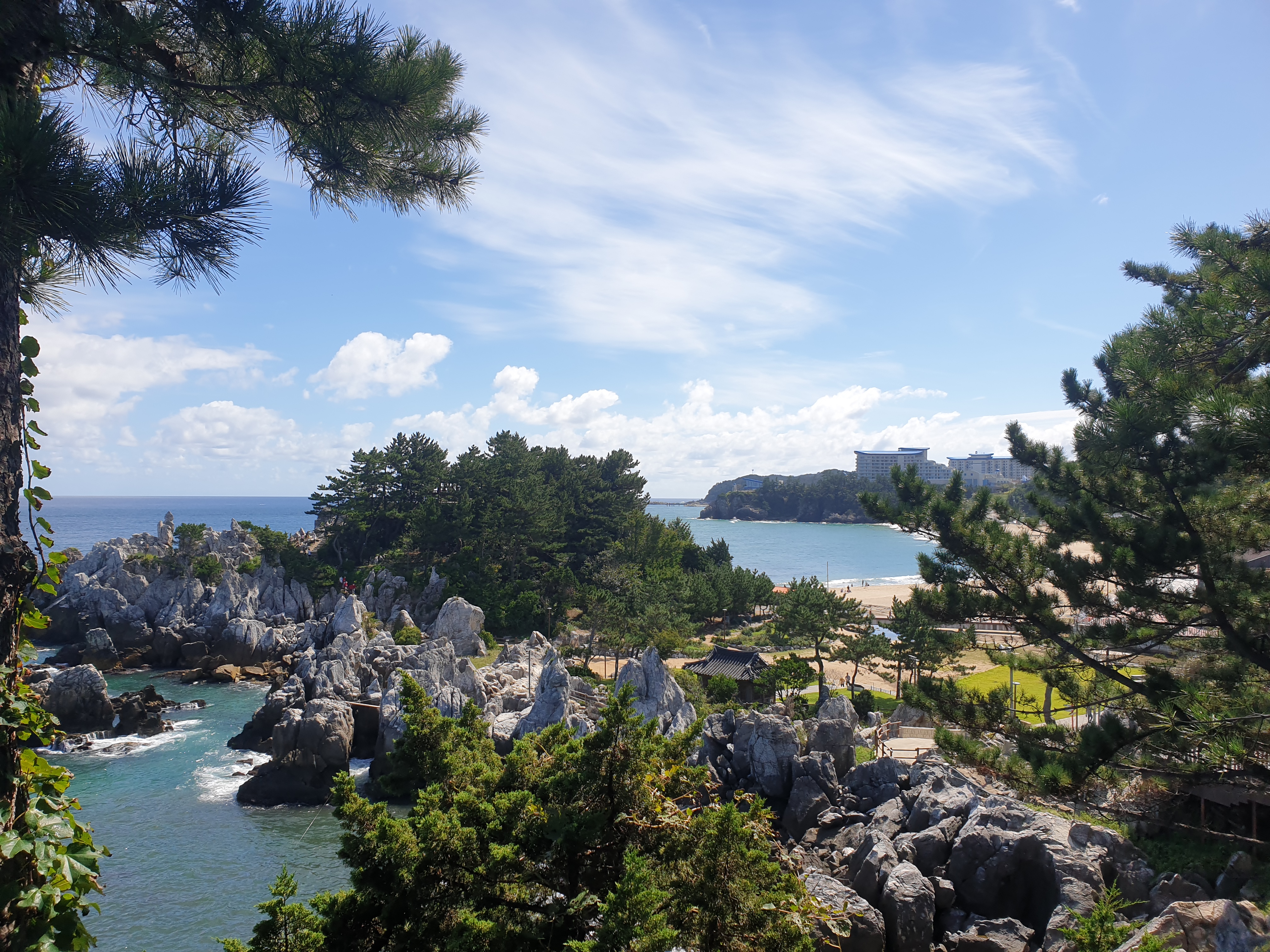 동해 추암촛대바위와 출렁다리 / 동해 여행 추천