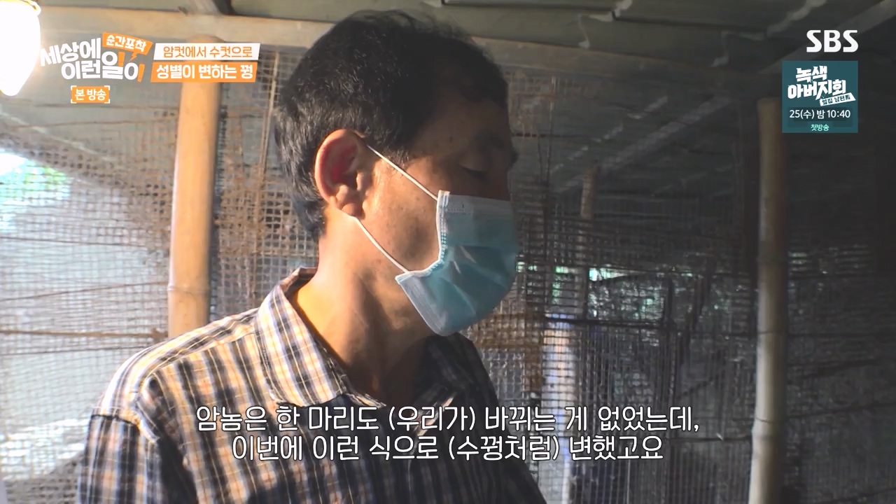 순간포착 세상에 이런일이.E1248.231015p-NEXT.mp4_20231015_164801.609.jpg