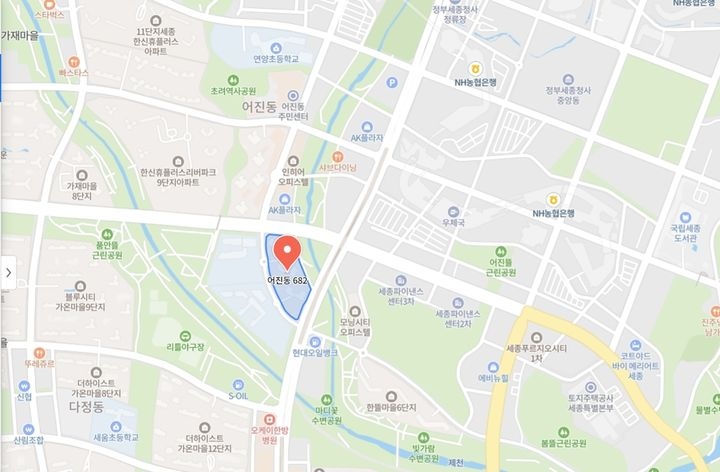 세종 린 스트라우스