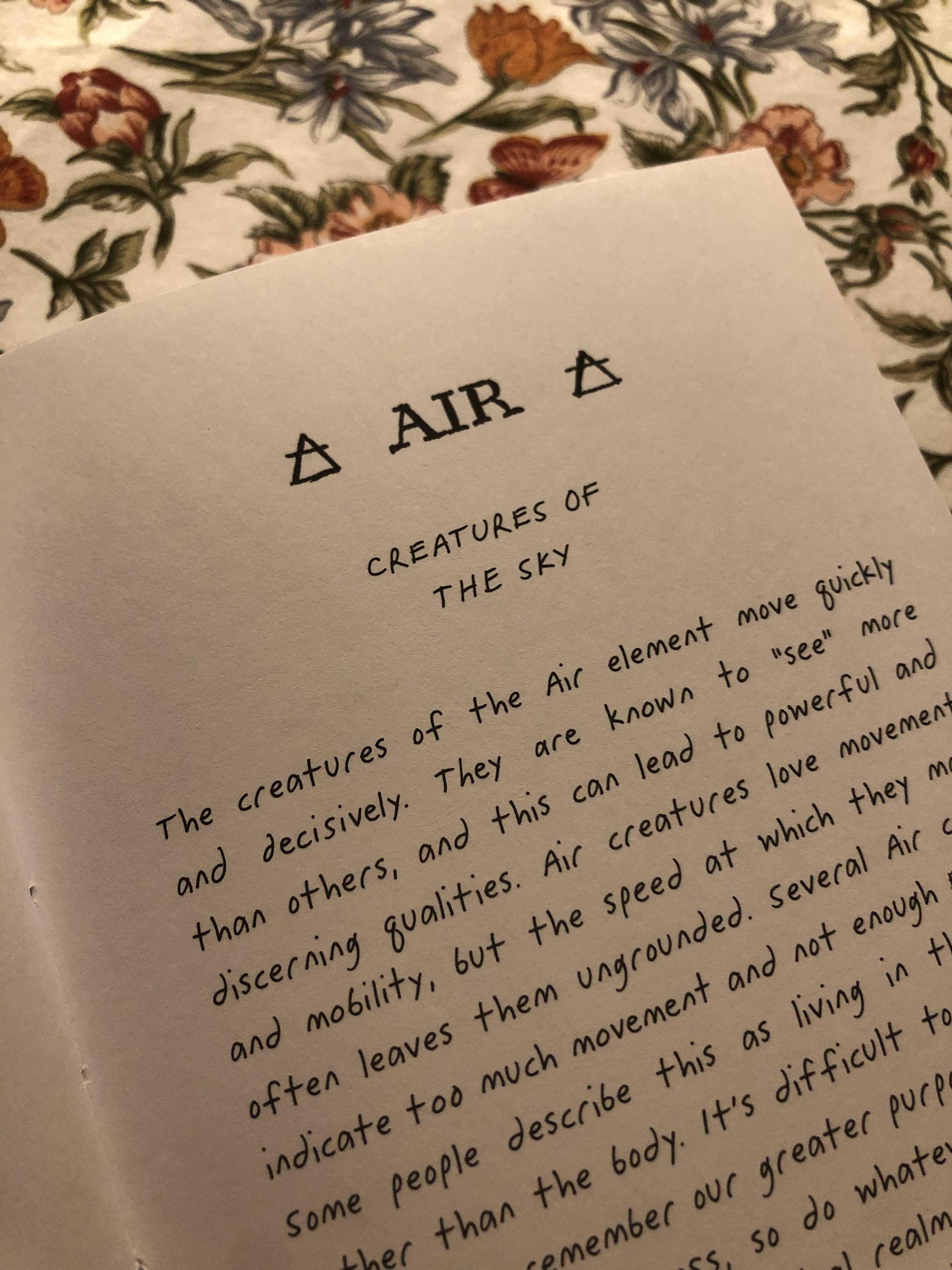  [오라클카드배우기/와일드언노운애니멀스피릿] The Wild Unknown Animal Spirit Air 공기 요소 의미