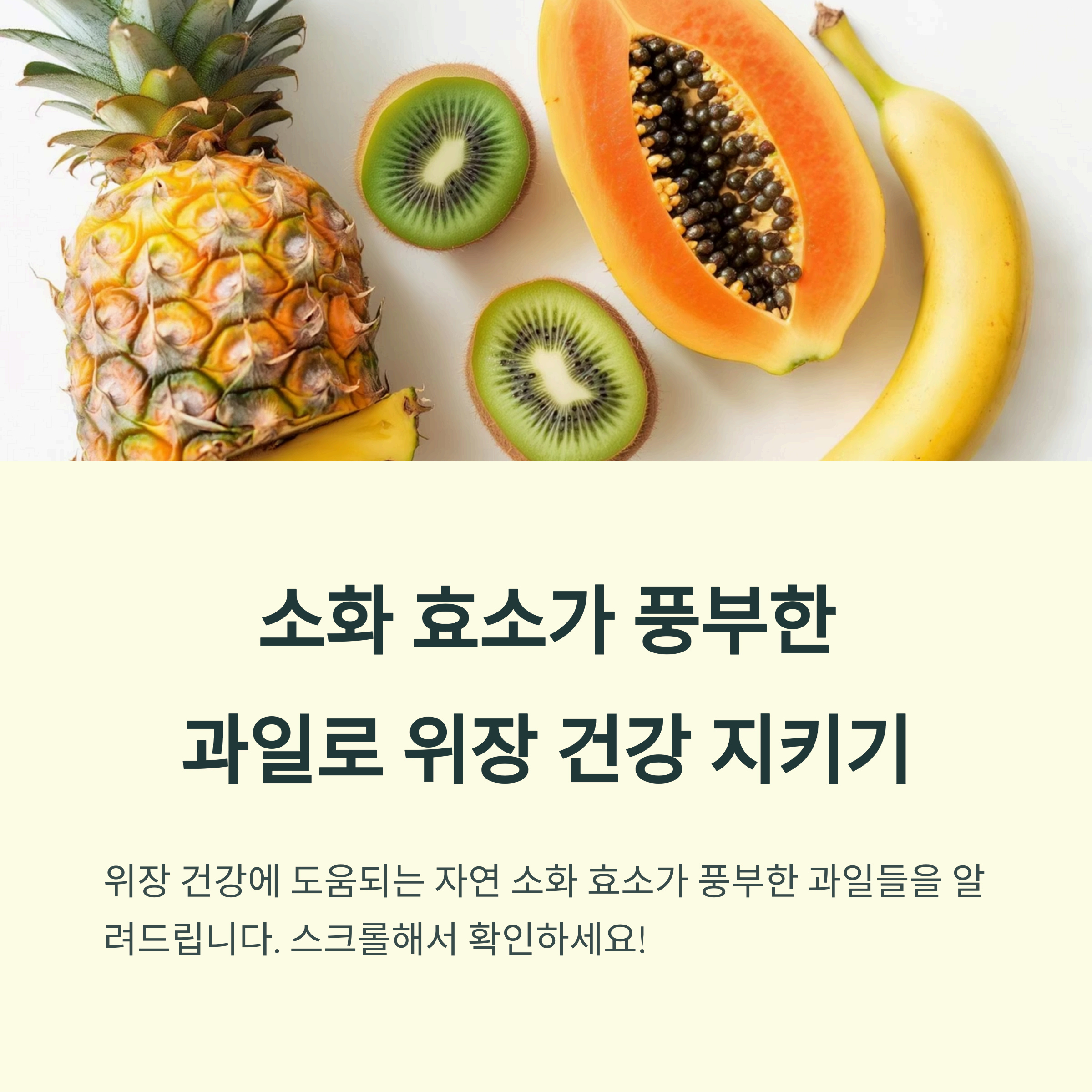소화효소가 풍부한 과일