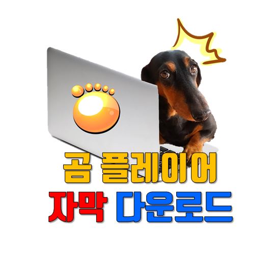  곰플레이어 자막 다운로드 방법