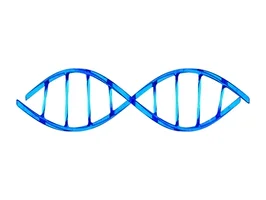 DNA