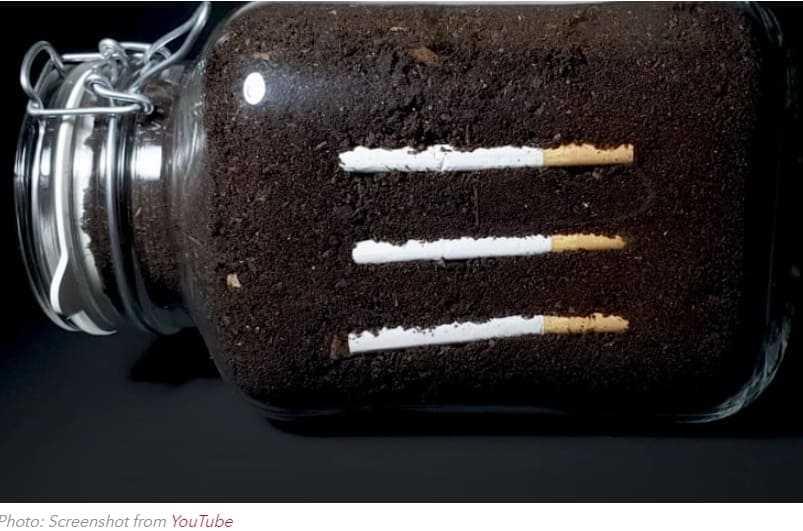 [자연의 신비] 1년 동안 흙이 담긴 병 속의 담배는 어떤 일이 일어났나 VIDEO:Hypnotic Timelapse Shows What Happens to Cigarettes in Soil for a Year
