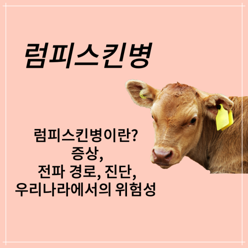 럼피스킨병