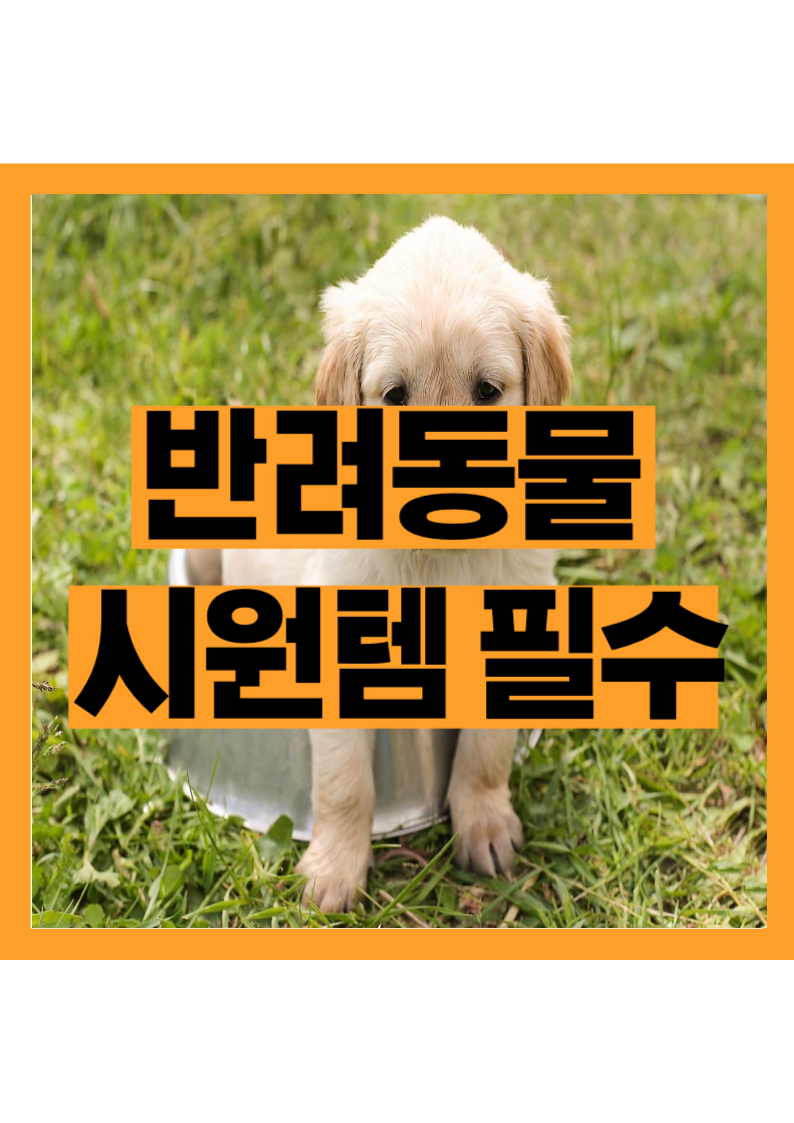 여름철 필수템! 반려동물 쿨매트로 여름나기 준비 완료