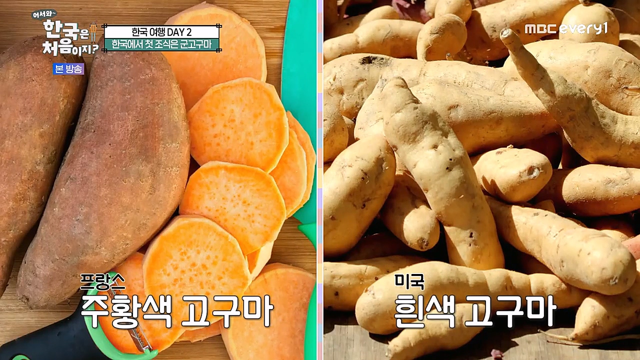 어서와 한국은 처음이지 시즌2.E245.230113p-NEXT.mp4_20230114_194156.363.jpg