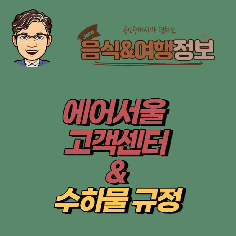 썸네일 에어서울 고객센터