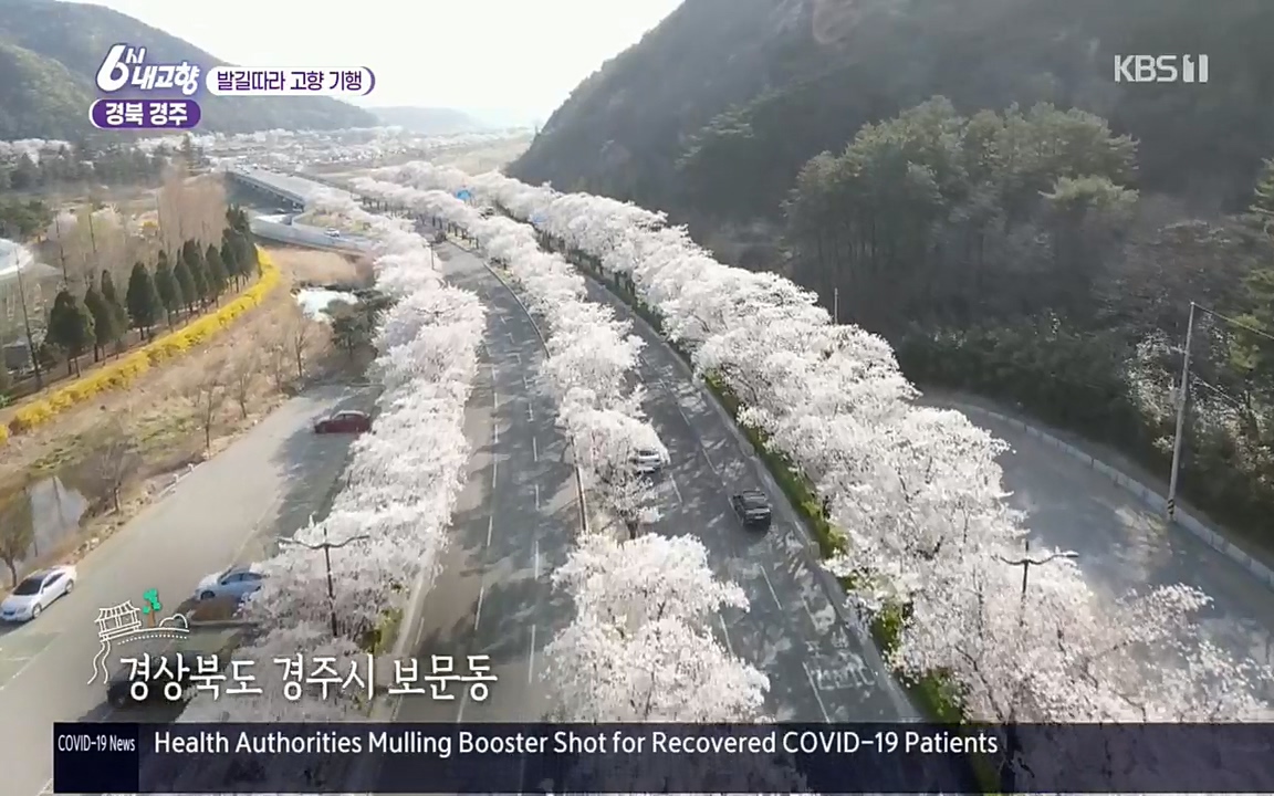 6시 내고향.E7510.220414p.H264-F1RST.mp4_20220419_185235.487.jpg
