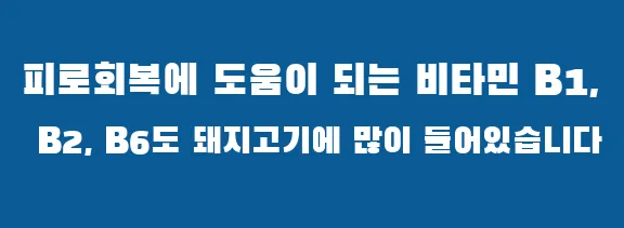 피로회복에 도움이 되는 비타민 B1, B2, B6도 돼지고기에 많이 들어있습니다