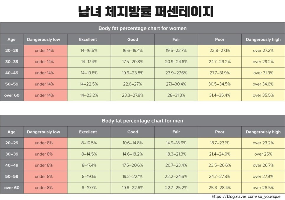  체지방률 계산하는 방법, BMI(체질량지수), 브로카법
