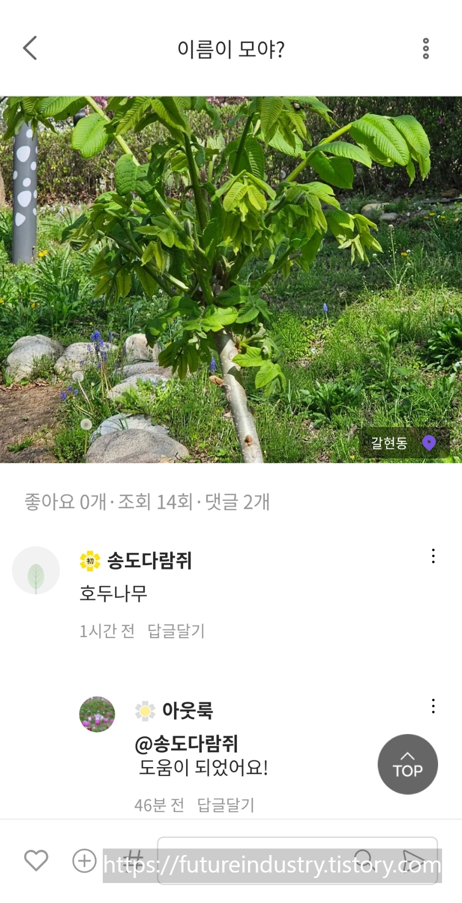 사진으로 나무이름이 궁금할땐 모야모