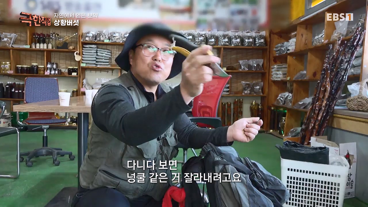 TV - 전 국민의 평생학교 EBS자연에서 얻은 보약, 상황버섯과 산나물, 쌍화차.mp4_20240615_172237.113.jpg