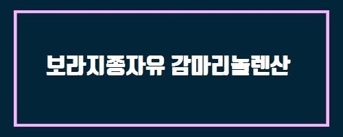  보라지종자유 감마리놀렌산 And 보게리
