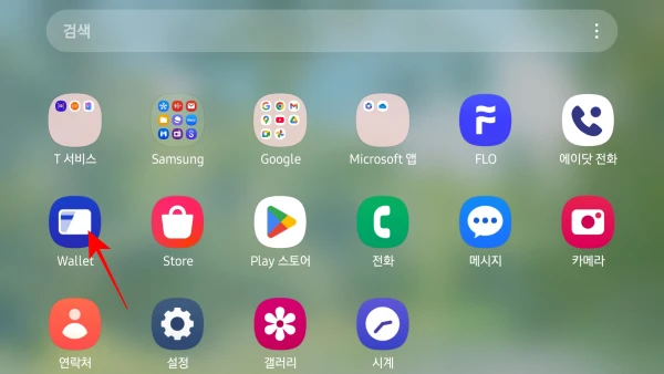Home-wallet