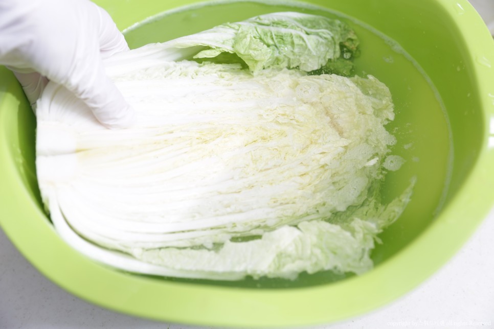 짠맛 김장봉투로 간단하게 속이 꽉 찬 배추절임 배추절임 시간 9