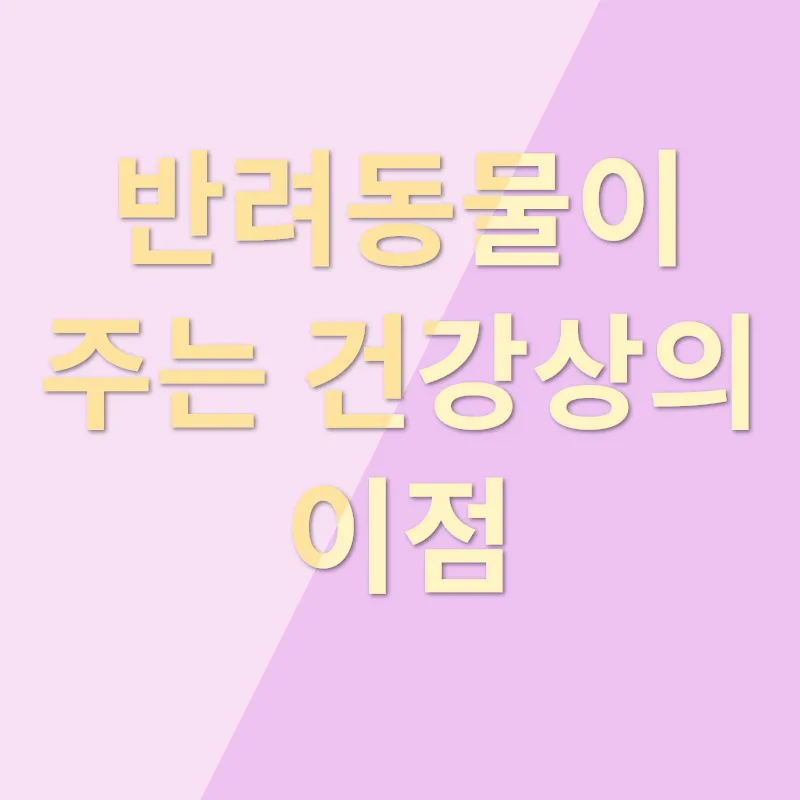 반려동물 키우기_2